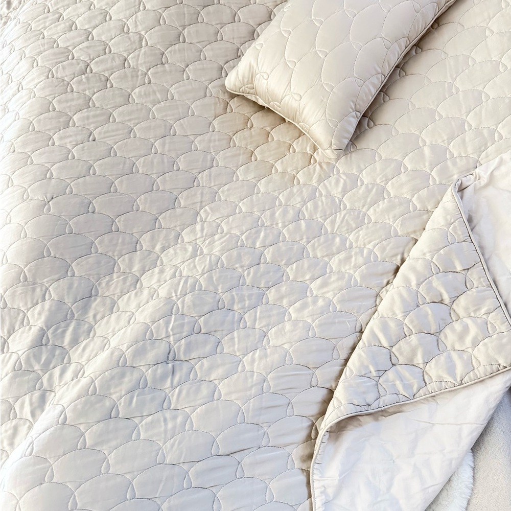 Barbara Barry Dream Silk Queen Coverlet plus 2 Throw Pillows